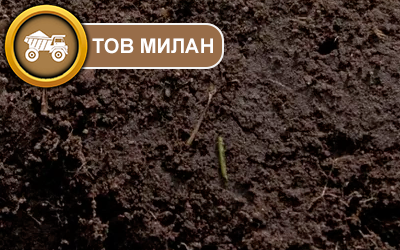 Чорнозем і перегній для озеленення та садових робіт